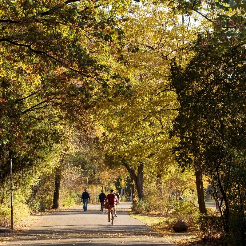 Parks und Grünflächen rund um den Graefekiez